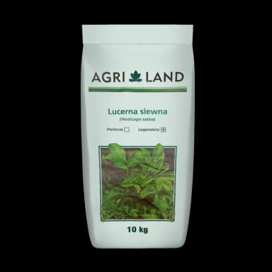 Lucerna LEGENDAIRY®